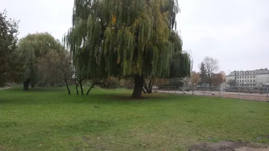 Skwer Leśników Polskich przejdzie dużą metamorfozę