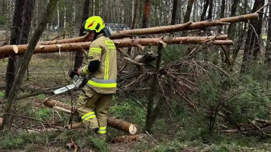 Strażacy usuwali skutki silnego wiatru