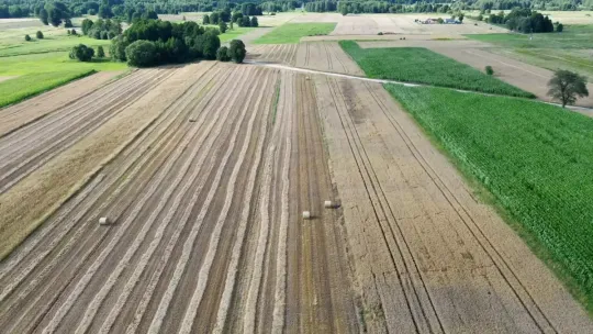 Trudne żniwa za rolnikami. Pogoda mocno odbiła się na plonach