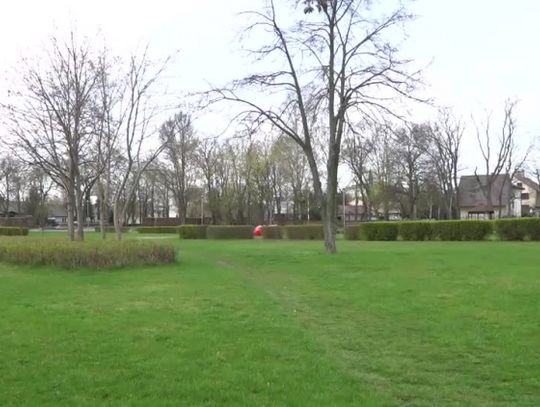 6 mln zł na rewitalizację parku w Węgrowie