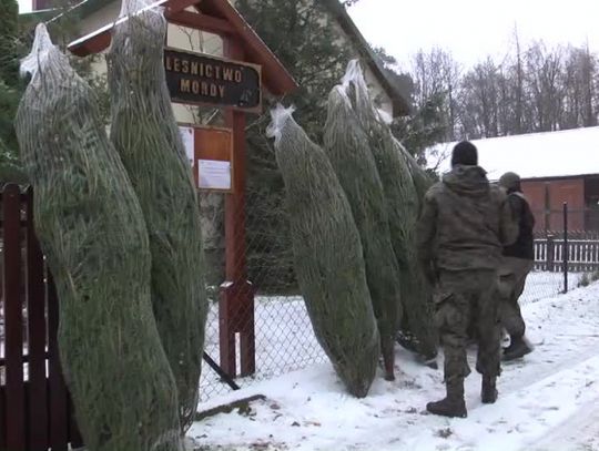 Choinki dla żołnierzy na granicy