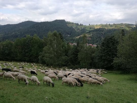 Gorce - góry dla miłośników aktywnego wypoczynku