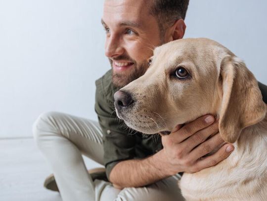 Hotel dla psów Warszawa. Jak wybrać najlepsze miejsce dla swojego pupila