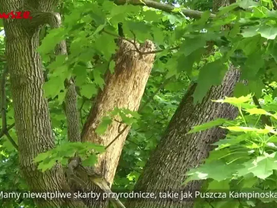 Informacje z Mazowsza 104