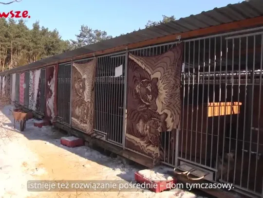 Informacje z Mazowsza 136