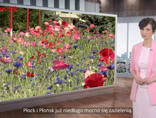 Informacje z Mazowsza 148