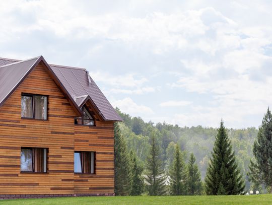 Jakie drewno wybrać do budowy domu?