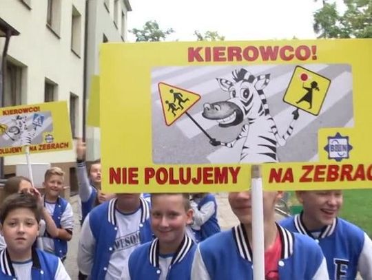 „Kierowco! Nie polujemy na zebrach!!!”