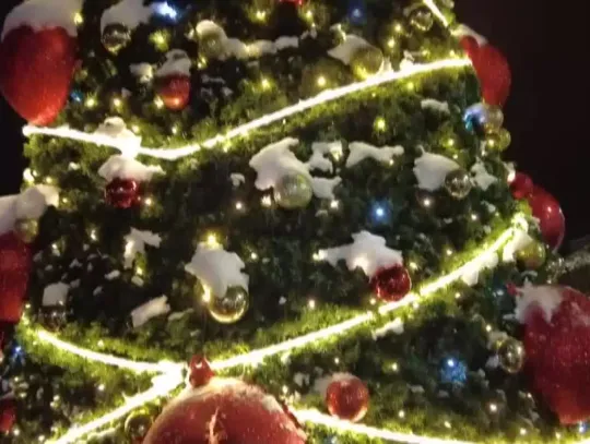 Na miejskiej choince rozbłysły światełka. Pilawa