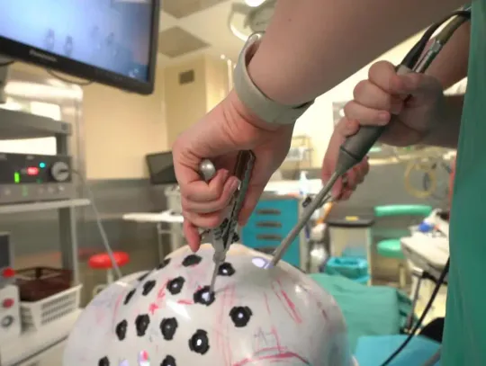 Nowoczesna medycyna na studiach w Siedlcach