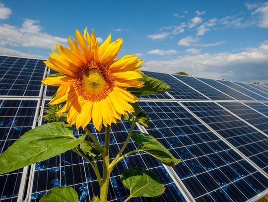 PGE złożyła wnioski o trzy nowe pozwolenia lokalizacyjne dla morskich farm wiatrowych