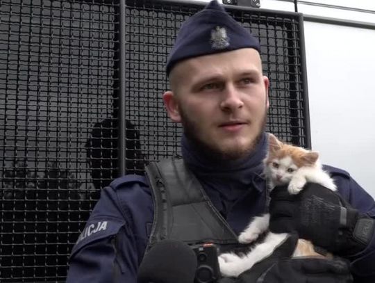 Policjanci ocalili kotka!