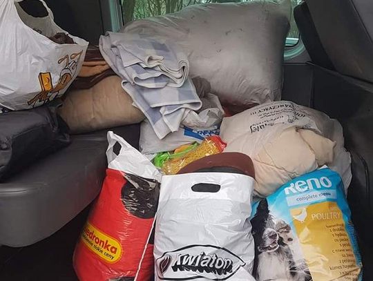 Policjanci przekazali dary dla bezdomnych zwierząt