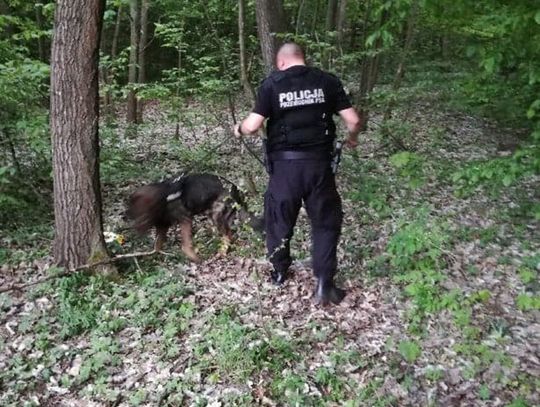 Poszukiwana odnaleziona
