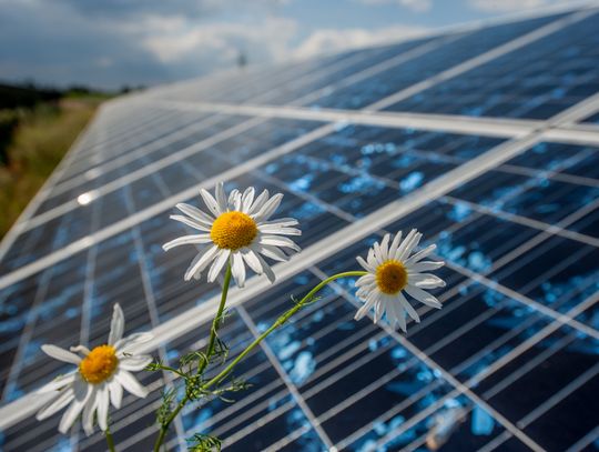 PZU SA kupi akcje TFI Energia od PGE SA
