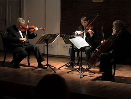 Recital Konstantego Kulki