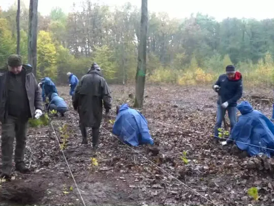 Sadzenie lasu w gminie Kotuń