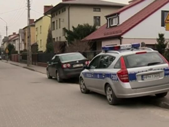 Skatowany kot