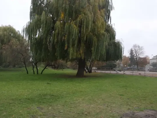 Skwer Leśników Polskich przejdzie dużą metamorfozę
