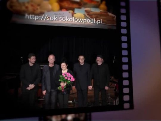 SOK roboczy v4