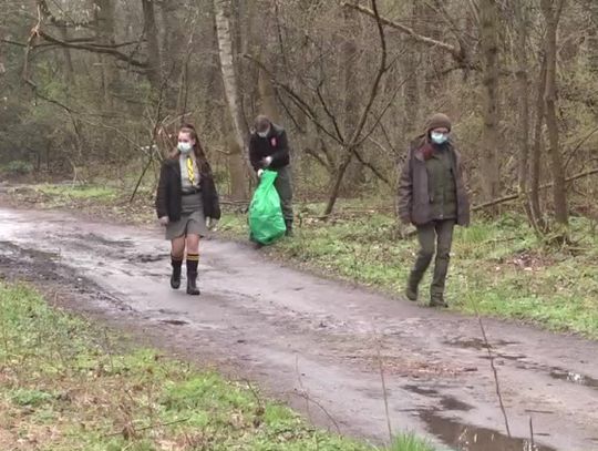 Sprzątanie lasu na Sekule przez Harcerzy
