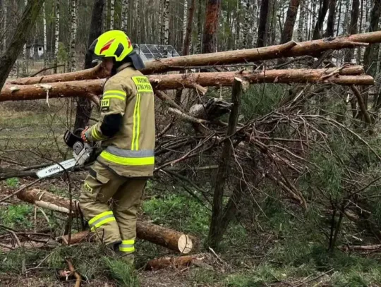 Strażacy usuwali skutki silnego wiatru