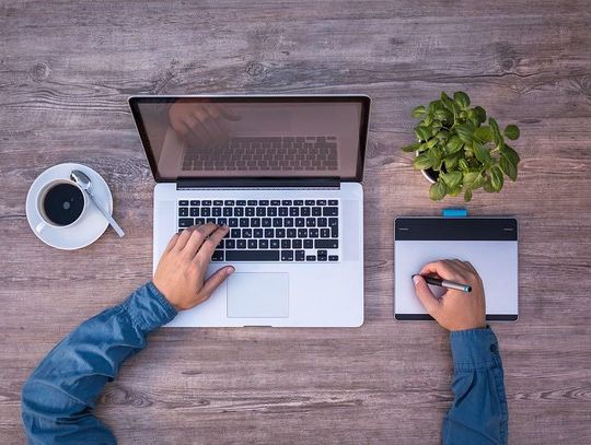 Strona internetowa w dobrej cenie