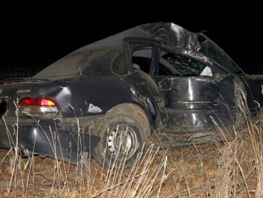 Toyota na drzewie