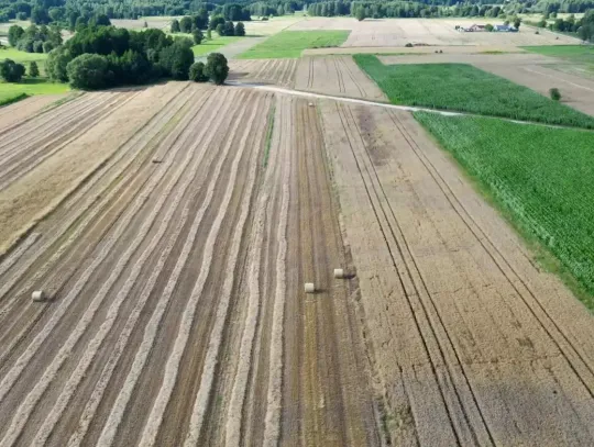 Trudne żniwa za rolnikami. Pogoda mocno odbiła się na plonach
