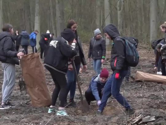 Wiadomości Regionalne