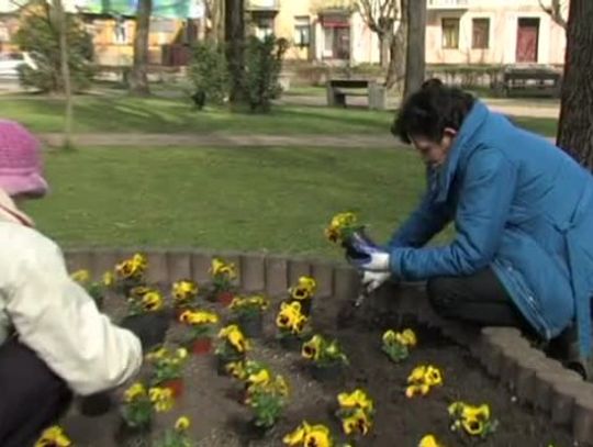 Wiosenne sprzątanie w Sokołowie