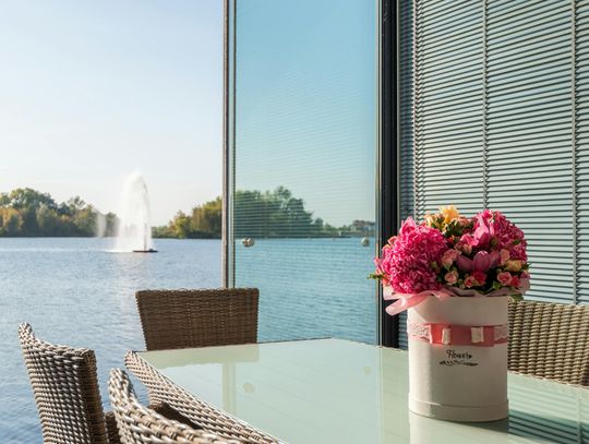 Żaluzje zewnętrzne – design, komfort i nowoczesność w jednym