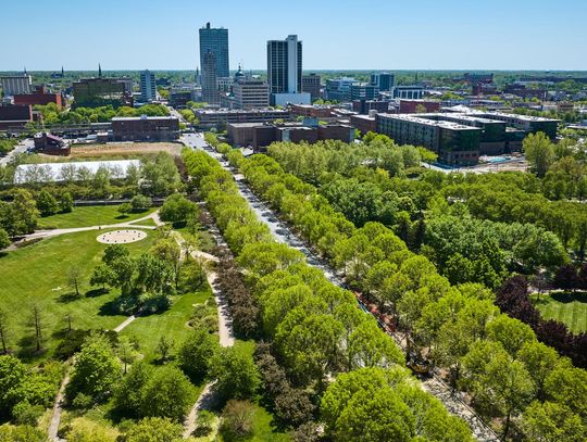 Zielonka - dlaczego coraz więcej osób wybiera to miasto zamiast Warszawy?