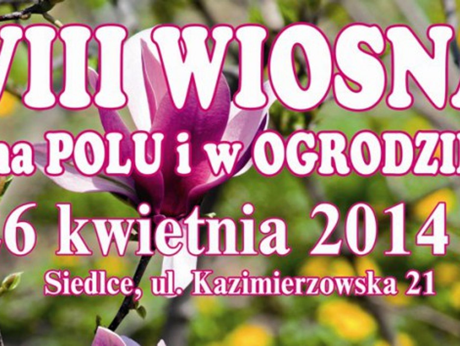 VIII Wiosna na Polu i w Ogrodzie / NASZ PATRONAT