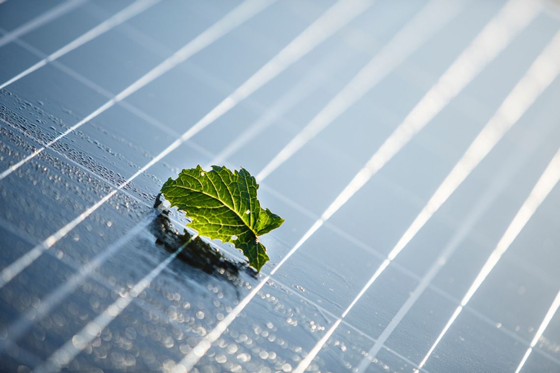 PGE zachęca do udziału w konkursie „PGE Turniej Maszyn Wiatrowych 2022“