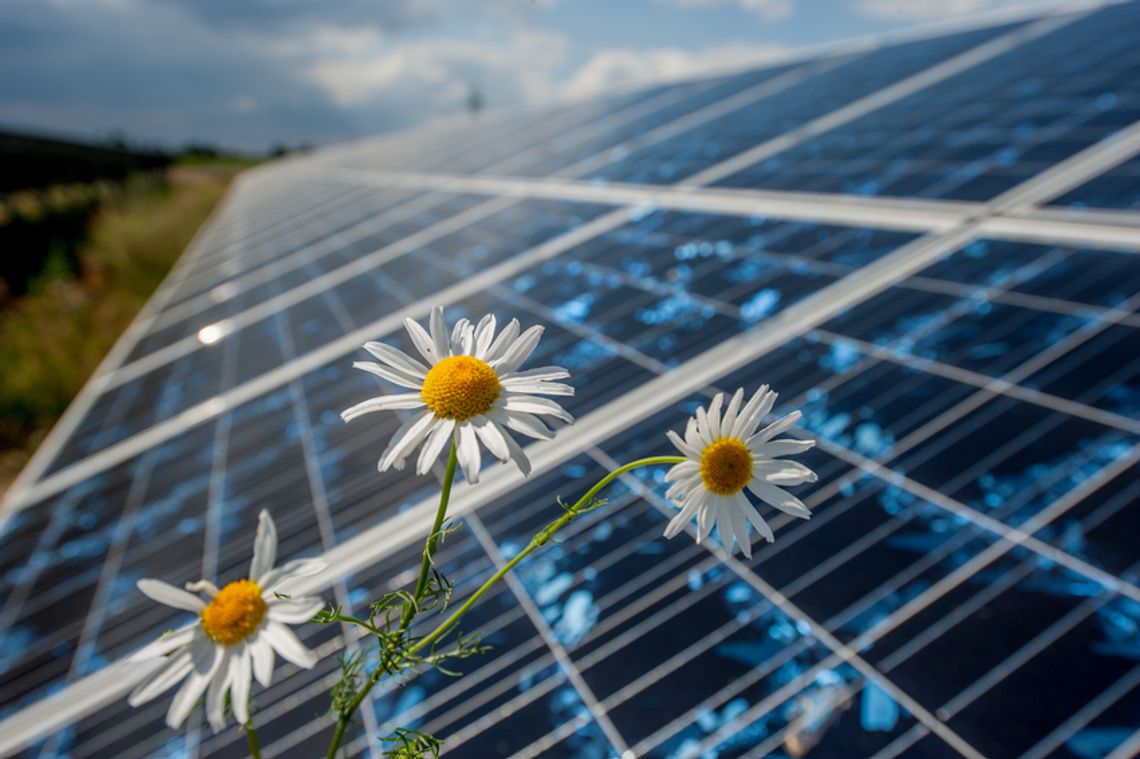 PZU SA kupi akcje TFI Energia od PGE SA
