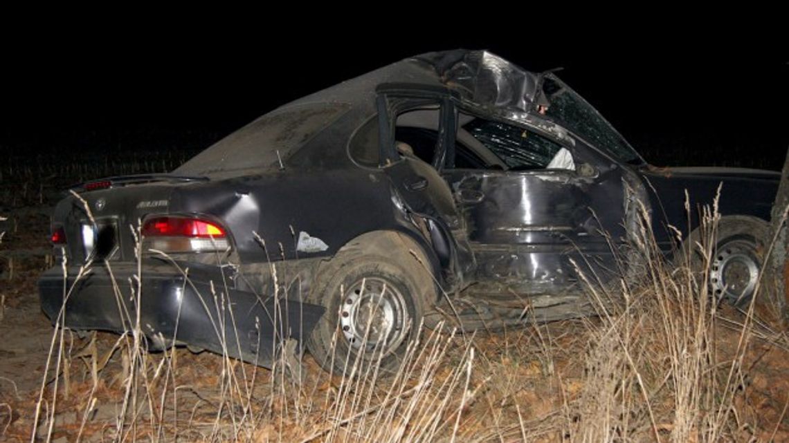 Toyota na drzewie