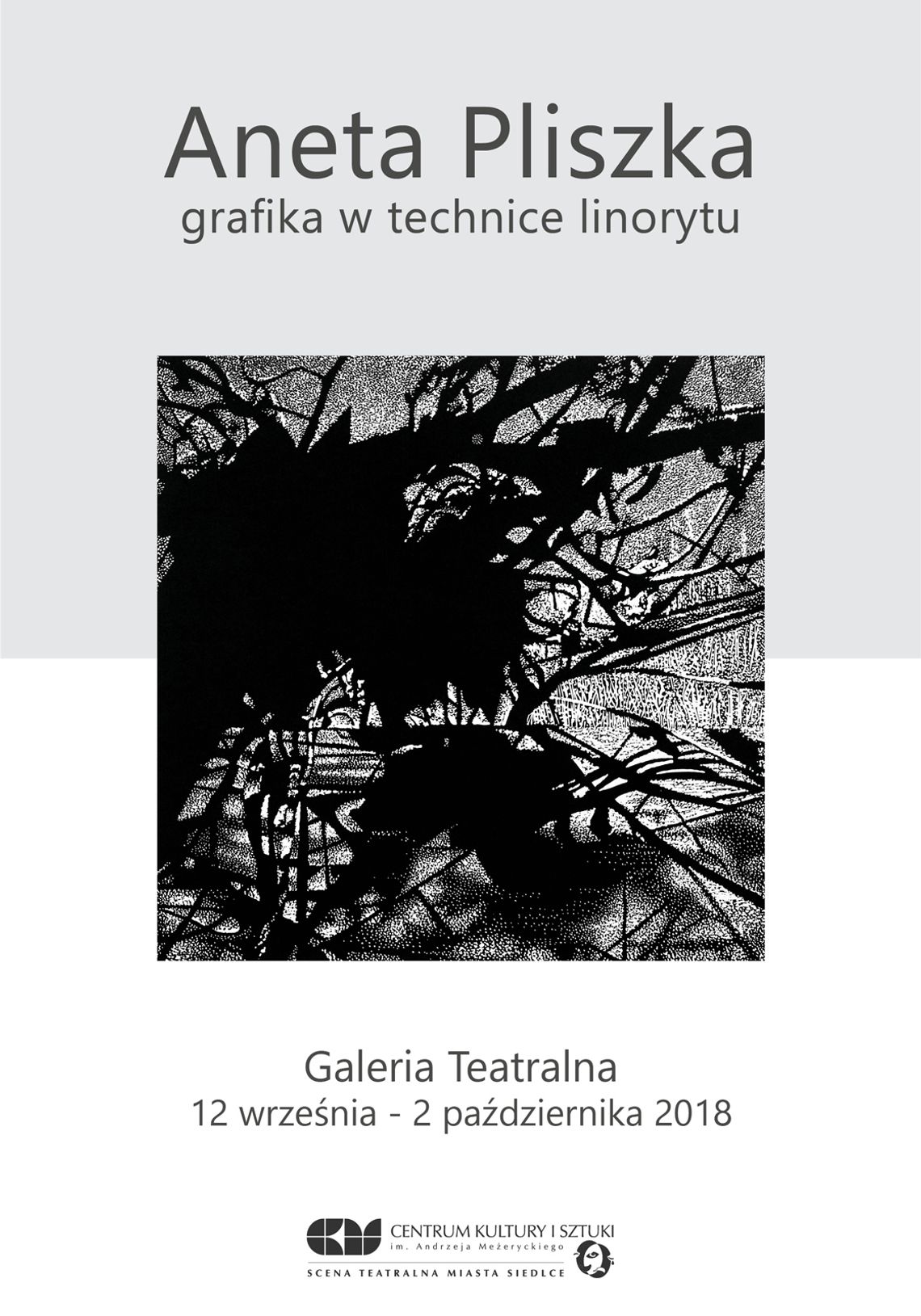 Wystawa grafik w technice linorytu Anety Pliszki
