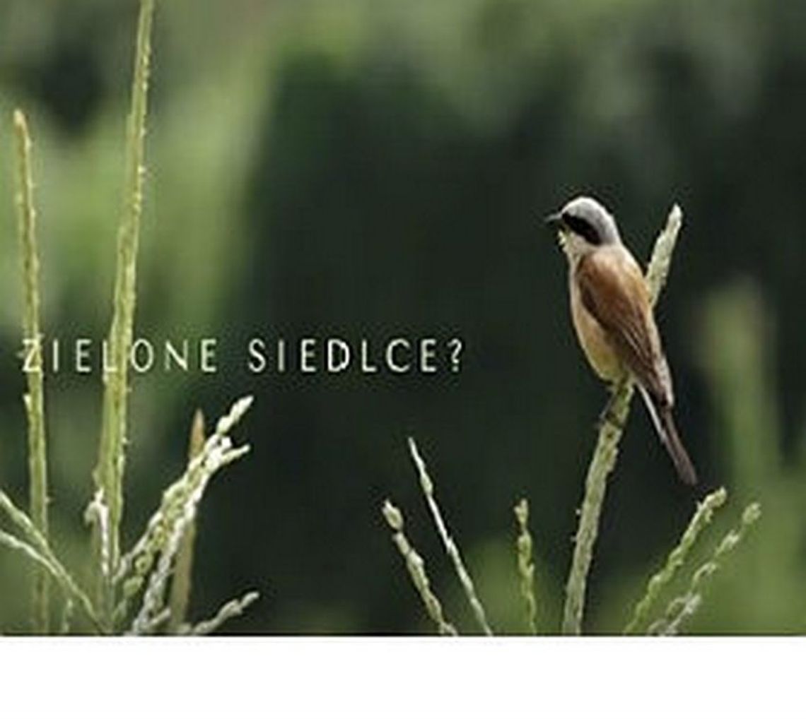 Zielone Siedlce? Naturalnie!
