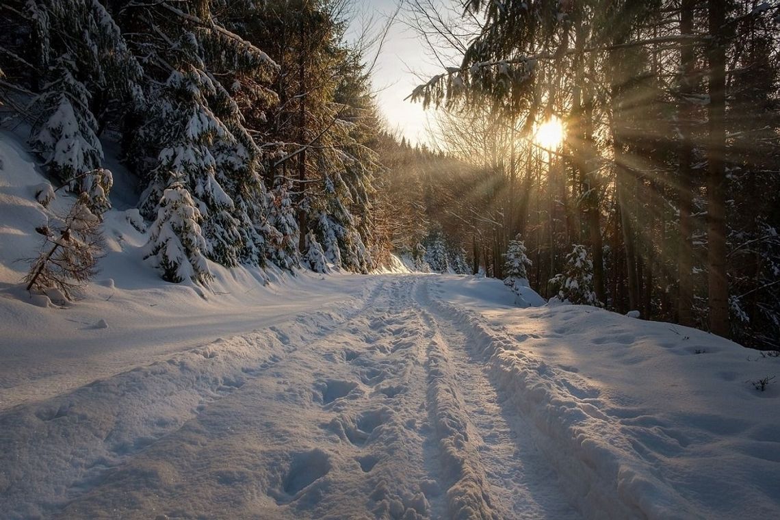 Zima w górach - najlepsze miejsca na skitury i narty biegowe
