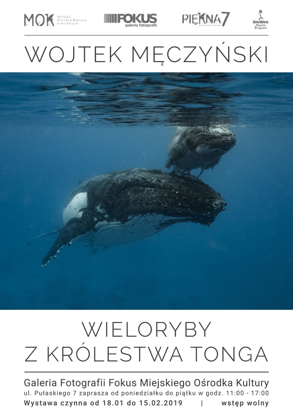 Otwarcie wystawy Wojtka Męczyńskiego "Wieloryby z Królestwa Tonga"